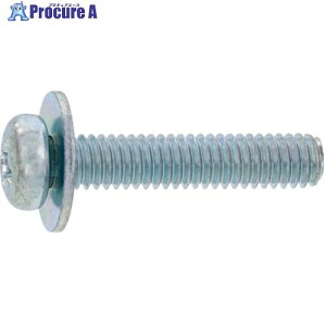 SUNCO �g���݂˂� (�{)�i�xP��1(�S(�܂��͕W��)�E�O���z���C�g) M4X65(�S�˂�)(30�{��) 10-00-0001-0040-0650-03-30P 1�p�b�N ����337-6520 �y�����s�x���ρz