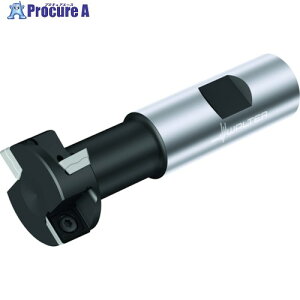 Walter T-�X���b�g�J�b�^�[ M4575-050-W32-02-21 1�� ��412-8260 ��O585