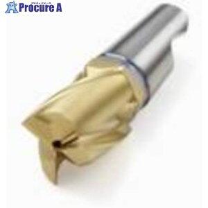 �Z�R �t���C�X �~�j�}�X�^�[�w�b�h MM10 F30M MM10-10012-A30-E03 F30M 2�� ��435-9070