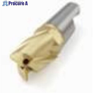 �Z�R �t���C�X �~�j�}�X�^�[�w�b�h F40M MM12-12015-R20A30-M04 F40M 2�� ����489-1186 �y�����s�x���ρz