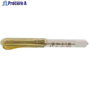 SUNCO E�T�[�g(��^�b�v M16×2.0 (1�{����) N0-00-TV30-0160-0000-00-1P 1�p�b�N ����517-2761 �y�����s�x���ρz