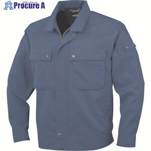 �R�[�R�X �����u���]��P-6691 6 E�u���[ 4L P-6691-6-4L 1�� ����134-6520 �y�����s�x���ρz