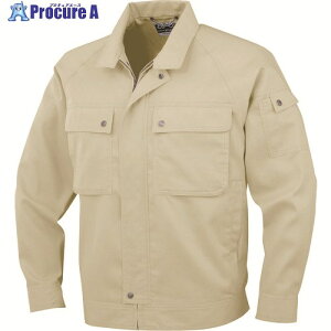 �R�[�R�X �����u���]��P-6691 2P�x�[�W��M P-6691-2-M 1�� ����136-5476 �y�����s�x���ρz
