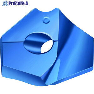 Walter �|�C���g�h�����`�b�v WPP45C P6001-D18�A80R WPP45C 1�� ����411-7592 �y�����s�x���ρz ��O585