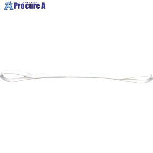 TESAC �ω��w��i�p�X�����O(JIS2�����E���[�A�C�`)25mm��×4.5m PP2E25X4.5 1�{ ��793-1441