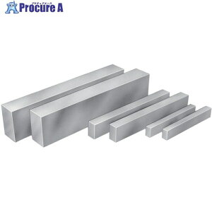 ���j �p�������u���b�N 20x30x200mm PB-2030200 1�� ����838-1114 �y�����s�x���ρz