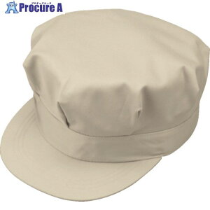 �R�[�R�X �����^�X�qP-4496 2P�x�[�W��M P-4496-2-M 1�� ����853-7857 �y�����s�x���ρz