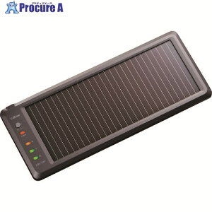 CELLSTAR �\�[���[�o�b�e���[�[�d�� SB700 SB-700 1�� ����100-7028 �y�����s�x���ρz