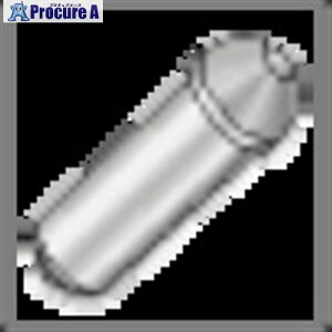 �C�X�J�� ���i ���b�N�s�� SL PI-2 PIN 10�� ����240-0574 �y�����s�x���ρz ��O585