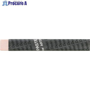 PENTEL ���Ɨp �t���b�V���e�B���g D PTAT107D 10�� ����247-8347 �y�����s�x���ρz
