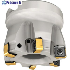 �C�X�J�� �l�I�h�D �t�F�[�X�~�� S890 FSZ-R08 S890FSZD125-12-40-R08 1�{ ����339-7040 �y�����s�x���ρz ��O585