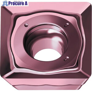Walter �~�[�����O���H�p �����`�|�W�`�b�v WK10 SDHT09T304-G88 WK10 10�� ����412-2218 �y�����s�x���ρz ��O585