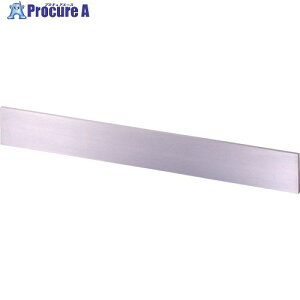 ���j �|�� ���^�X�g���[�g�G�b�W A���ē� 300mm SEHY-300 1�� ��471-9263