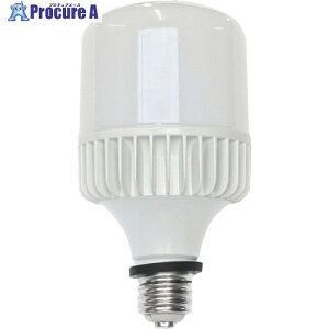 �Z�t�e�B�[ �L�����g���C�gLEAD �H���pLED�d�� ����E39 100/200V���p ���O�p �o���X�g���X���ⓔ500W���� SH40-TL-TR 1�{ ��566-5207