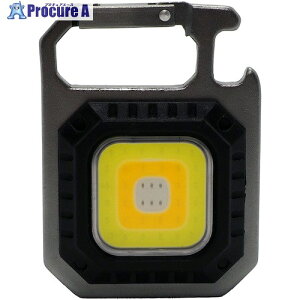 STARLIGHT LED�c�[�����C�g SK-TL450CHSL 25�� ����617-1365 �y�����s�x���ρz