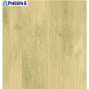 ���a �\���Ă͂����鉖�r�V�[�g ���m�x�V�[�g 90cm×180cm REN-17 90CMX180CM 1�{ ����623-5167 �y�����s�x���ρz
