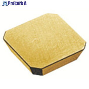 MOLDINO �J�b�^�p�`�b�v SEE42TN-G9 CH550 CH550 SEE42TN-G9 CH550 10�� ����815-6781 �y�����s�x���ρz