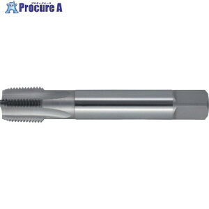 ���}�� X�V���[�Y �Ǘp�e�[�p�˂��p�n���h�^�b�v �Z�˂��` PT-X 1/16-28 PT-X-1/16-28 1�{ ��816-8675 ��MA515