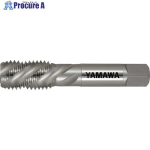 ���}�� �X�p�C�����^�b�v ���˂��p SP LH P3 M20X2.5 SP-LH-P3-M20X2.5 1�{ ��216-4866 ��MA515