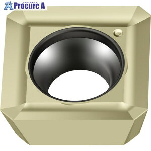 Walter �~�[�����O���H�p �����`�|�W�`�b�v WSP45G SPKT1204AZN WSP45G 10�� ����408-2684 �y�����s�x���ρz ��O585