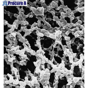 Merck MF-�~���|�A�����u�����E�Z�����[�X�����G�X�e���E�e�����E5.0 �}�C�N�����[�g���E47 mm�E���F�E���n SMWP04700 1�p�b�N ����566-4820 �y�����s�x���ρz