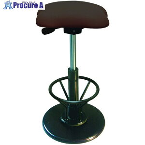 �Z�C�R�[ �c�C�X�g�X�c�[�� ���t���V�A3R �u���E�� �X�e�b�v�t�� TWS-190R/08 1�r ����176-3009 �y�����s�x���ρz