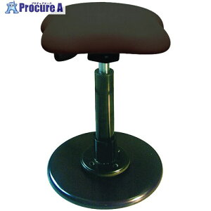 �Z�C�R�[ �c�C�X�g�X�c�[�����t���V�A3 �u���E�� TWS-190/08 1�r ����176-4497 �y�����s�x���ρz