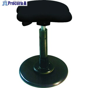 �Z�C�R�[ �c�C�X�g�X�c�[�����t���V�A3 �u���b�N TWS-190/01 1�r ����176-4500 �y�����s�x���ρz