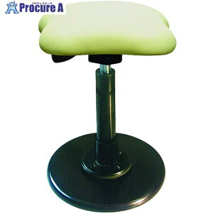�Z�C�R�[ �c�C�X�g�X�c�[�����t���V�A3 �A�C�{���[ TWS-190/12 1�r ����176-4524 �y�����s�x���ρz