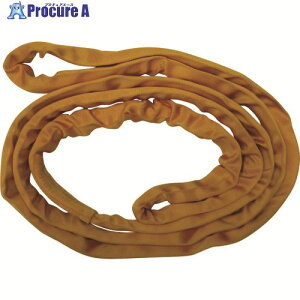 TESAC �u���[�X�����O�\�t�gN�`(�G���h���X�^�C�v)�׏d3.2t �S��1m(JIS�K�i�i) TBSN3.2TX1M 1�{ ����226-1901 �y�����s�x���ρz