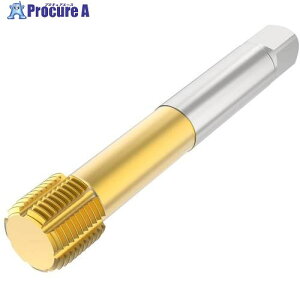 �Z�R �^�b�v T33-FSN21C09-1/2-14-12R 1�� ����490-5249 �y�����s�x���ρz