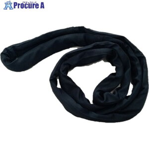 TESAC �u���[�X�����O�\�t�g�u���b�NN�`(�G���h���X�^�C�v)�׏d2t �S��1.5m TBSNBK2.0TX1.5M 1�{ ����502-2934 �y�����s�x���ρz
