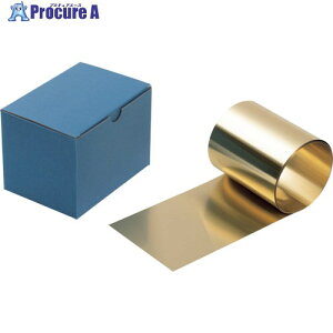 TSK �V�N�l�X���C�i�[ PB 0.05X100WX1M TSKPB-0.05-100 1�� ����603-7058 �y�����s�x���ρz