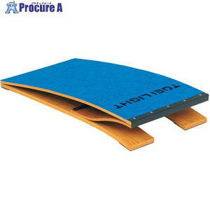 �g�[�G�C���C�g ���C�^�[��100ST T1149 1�� ����676-2269 �y�����s�x���ρz