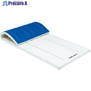 �g�[�G�C���C�g �~���X�|���W�}�b�g 120×600×6cm T1254 1�� ����684-2661 �y�����s�x���ρz