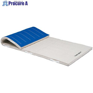 �g�[�G�C���C�g �R���r�l�[�V�����}�b�g 120×240×6cm T1275 1�� ����684-3833 �y�����s�x���ρz