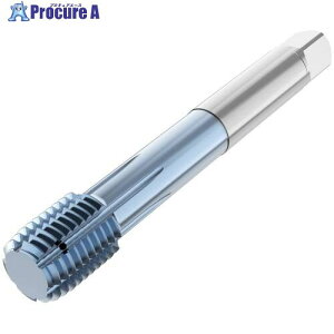 �Z�R ���`�^�b�v ���`�^�b�v T33B�E T33B-FSC01C06-20X2.5-65R 1�{ ����684-4472 �y�����s�x���ρz