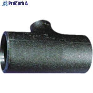 BENKAN TSGP�|�ǐ��`�[�Y50AX32A T-SGP-50A-32A (2X1 1/4) 20�� ����850-5138 �y�����s�x���ρz