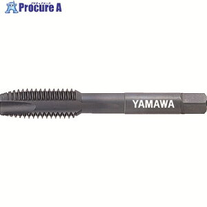 ���}�� �j�b�P������p�|�C���g�^�b�v ZEN-P P3 M3×0.5 ZENP-M3(M3X0.5) 1�{ ��121-2354 ��MA515