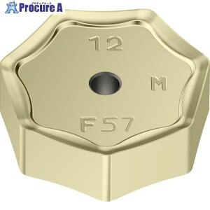 Walter �~�[�����O���H�p ���p�`�l�K�`�b�v WKP25S XNMF090612-F57 WKP25S 10�� ����413-3250 �y�����s�x���ρz ��O585