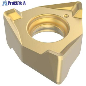 �Z�R �t���C�X �X�N�G�A6�p�C���T�[�g XNEX04 F40M XNEX040304R-M06 F40M 10�� ��428-2470
