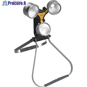 RITEX LED×3�� �X�[�p�[���[�N���C�g WT-1000 1�� ��469-1563