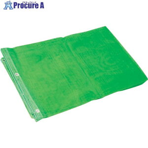 �O���[���N���X �h�����b�V���V�[�gII�� 3600×5400 1138100501 1�� ����238-6619 ���l��l����s��