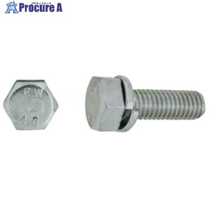 SUNCO �N����-�g EW4.8�g���[�}P��2 �i�a�e���� 8×12 (200�{��) 11-00-E002-0080-0120-02 1�� ����248-3948 �y�����s�x���ρz