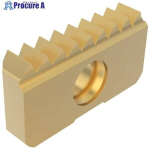 �Z�R �t���C�X�p �˂��؂�p�C���T�[�g CP500 13XM18NPT CP500 2�� ����508-9475 �y�����s�x���ρz