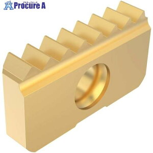 �Z�R �t���C�X�p �˂��؂�p�C���T�[�g CP500 13NMS20UN CP500 2�� ����508-9499 �y�����s�x���ρz