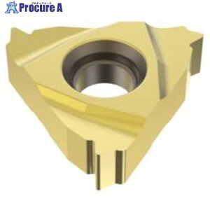�Z�R ����p �˂��؂�p�C���T�[�g CP500 16ER1.75ISO-A CP500 2�� ����484-0659 �y�����s�x���ρz