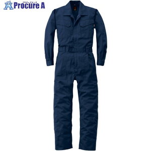 �J���T�C AW(�H�~)���f�� �Ȃ���206-001�l�C�r�[�u���[-5L 206-001-5L 1�� ����161-9060 �y�����s�x���ρz