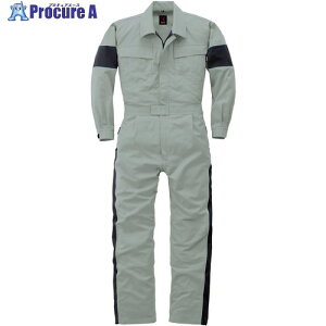 �J���T�C AW(�H�~)���f�� �Ȃ���207-007�O���[-S 207-007-S 1�� ����162-2213 �y�����s�x���ρz