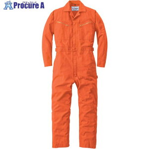 AUTO-BI �ʔN���f�� �Ȃ���2600-003�I�����W-5L 2600-003-5L 1�� ����136-7939 �y�����s�x���ρz